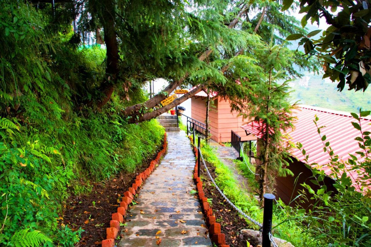 Aamod Resorts Dalhousie ! Luxury Cottage Resort Extérieur photo