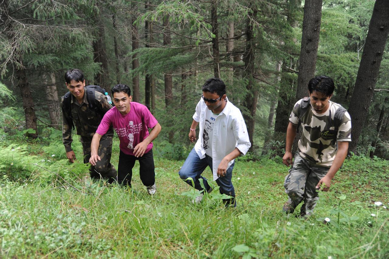Aamod Resorts Dalhousie ! Luxury Cottage Resort Extérieur photo