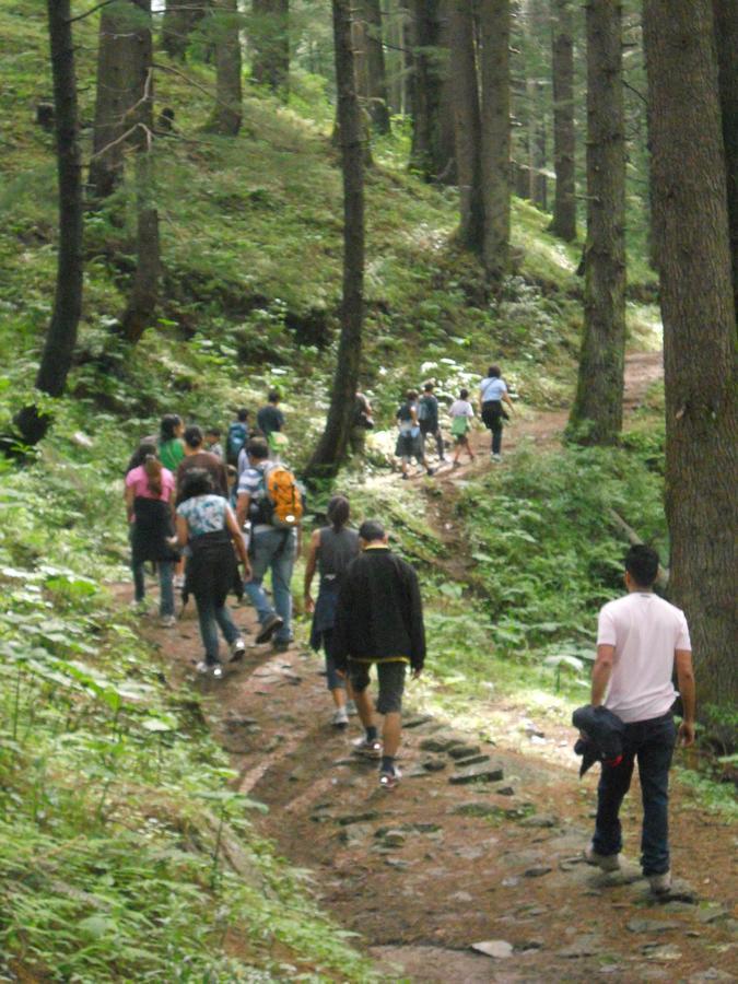 Aamod Resorts Dalhousie ! Luxury Cottage Resort Extérieur photo